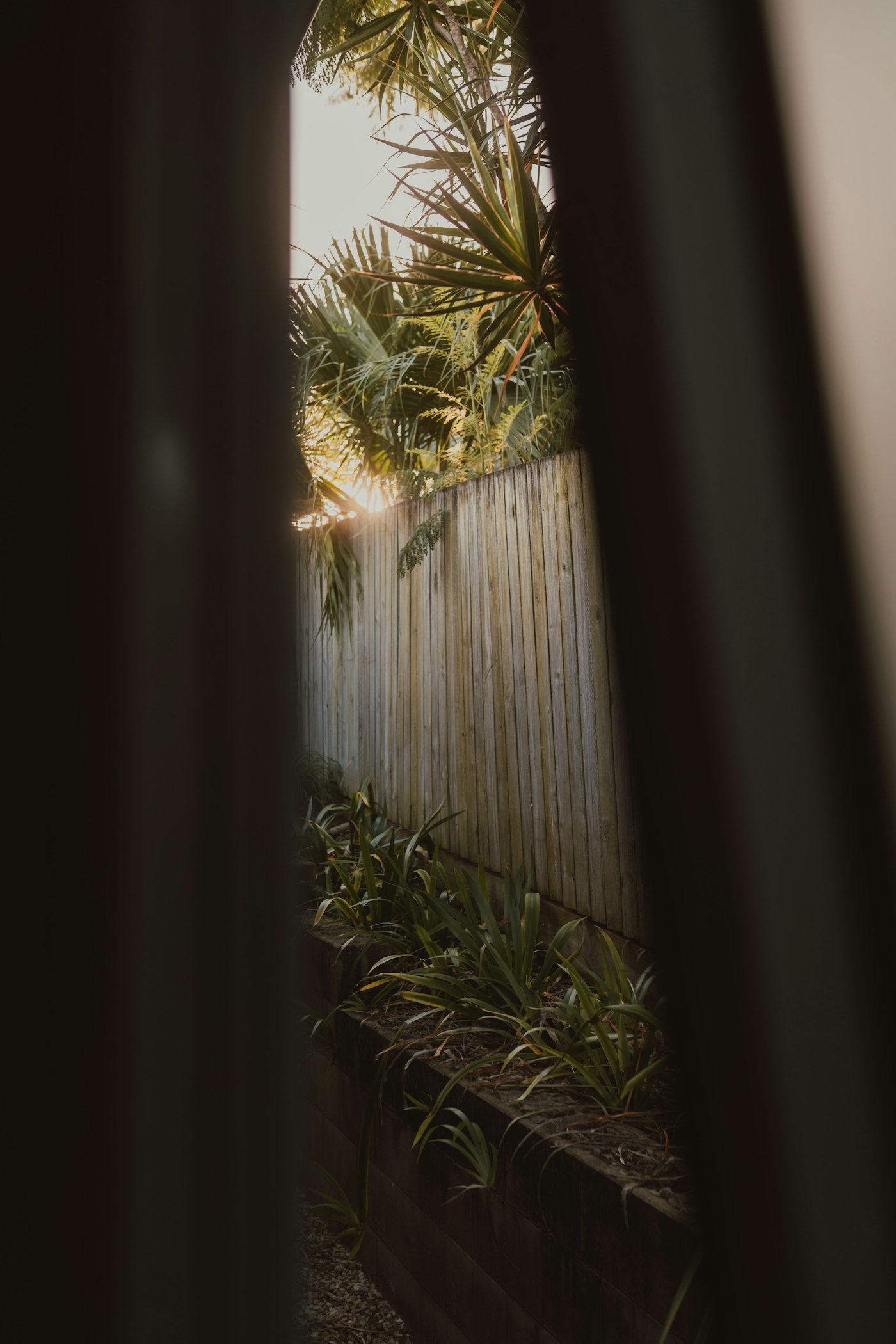 A weathered wooden privacy fence at golden hour, viewed past tropical plants and a stone garden border.